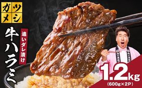 G4018 ガツめし牛ハラミ 1.2kg 追いダレ漬け【焼肉 600g×2P はらみ ハラミ 牛肉 訳あり サイズ不揃い】