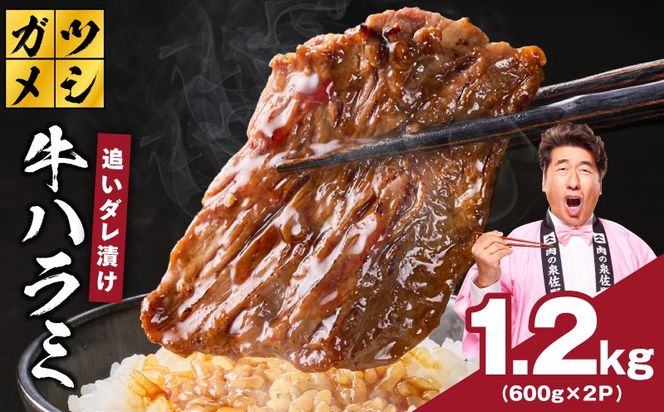 G4018 ガツめし牛ハラミ 1.2kg 追いダレ漬け【焼肉 600g×2P はらみ ハラミ 牛肉 訳あり サイズ不揃い】