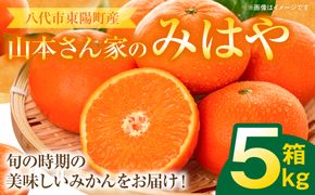 【先行予約】 八代市東陽産 山本さん家の「 みはや 」 5kg みかん 柑橘 フルーツ 果物 果実 ミカン 蜜柑 熊本県 八代市 【2026年12月上旬より順次発送】