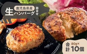 鹿児島県産黒豚 生ハンバーグ詰合せ　K356-005