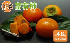 訳あり 柿 富有柿 約4.8kg 18～24玉 配送不可 離島 果物 フルーツ 秋の味覚 旬 デザート 果実 柿の王様 甘柿 代表品種 朝倉の柿 おやつ 
