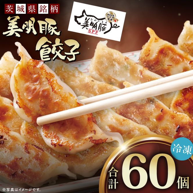 自慢の1品！木村屋の美明豚餃子 60個入り｜肉 お肉 豚肉 美明豚 ブランド豚 国産 餃子 ギョウザ 肉の木村屋 茨城県 行方市(J-20)