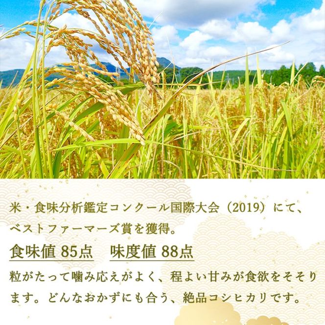 ベストファーマーズ賞受賞 コシヒカリ 玄米 5kg 無農薬 無添加 令和8年産 お米 チャック付 小分け 少量 少量パック お試し 白米 精米 産地直送 一等米 送料無料 長野 長野県 小諸市