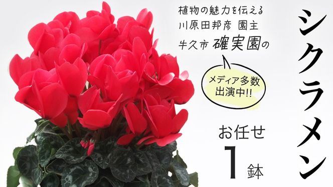 y錧vszVNy ܂ 1_ z K[fjO  ͂ t[  A 퉷 Mtg v[g 蕨  vs m [BG009us]