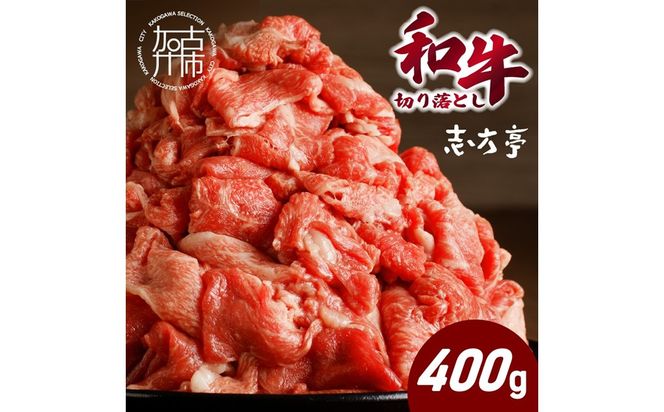「和牛」切り落とし(400g×1パック)《 和牛 切り落とし 牛肉 小分け 肉 》【2600A00409】