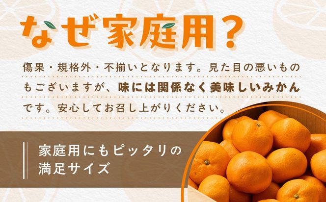 【先行受付】【数量限定】【家庭用】せとか（生果）5kg（2027年2月頃より順次発送） IKTQ010
