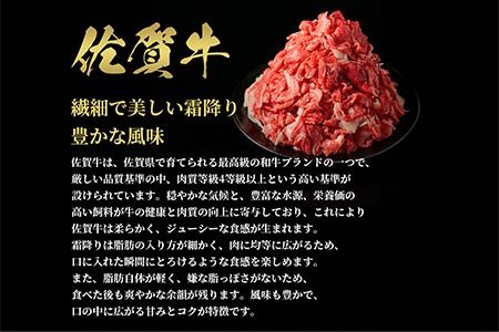 【和牛セレブ】佐賀牛 切り落とし 300g【肉 ブランド牛 和牛 牛肉 ふるさと納税】(H113116)
