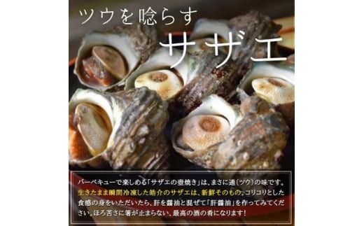 海鮮バーベキューセット1kg(大あさり500g&サザエ500g)大アサリ専用だし醤油付き