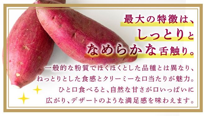 ＼選べる発送方法／ 紅はるか 約 2.5kg （茨城県共通返礼品 [さつまいも]：行方市産） 単品（1回）・定期便（3回 / 6回） べにはるか さつまいも 生芋 芋 サツマイモ 甘い 焼き芋 スイートポテト ねっとり 茨城県産 お取り寄せ 野菜 根菜 いも