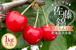 【2026年産 先行予約】＜北海道余市産＞さくらんぼ「佐藤錦」（M～2Lサイズバラ詰め）500ｇ×2パック さくらんぼ 佐藤錦 サクランボ 人気さくらんぼ 佐藤錦 さくらんぼ_Y103-0053