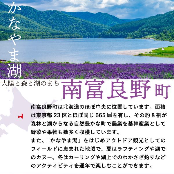 2026年夏発送  JAふらの厳選！ふらの 赤肉 メロン 2kg×2玉  メロン めろん 富良野メロン 果物 くだもの フルーツ 富良野 デザート 北海道 贈り物 ギフト 果物類 メロン赤肉 赤肉メロン 