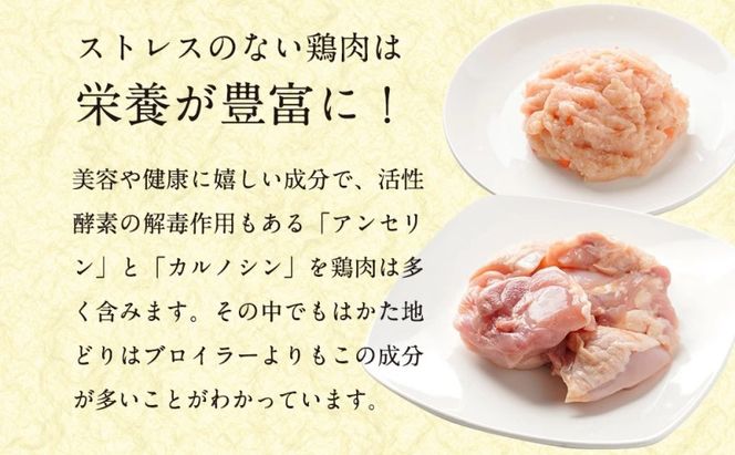 水炊き セット 3～4人前 福岡 限定！はかた地どり 鶏 肉 とり肉 鳥肉 鶏肉 鍋 なべ スープ付き ポン酢 コラーゲン 地鶏 冷凍 贈答品 送料無料 配送不可：離島 