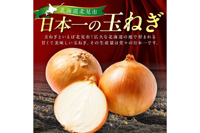 北見市産玉ねぎ使用 味付け牛肉 醤油タレ 300g×5個 ( 肉 牛肉 たまねぎ タマネギ 焼肉 )【224-0013】