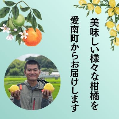 【先行予約：2026年11月中旬～発送】訳あり愛媛みかん 5kg +傷み保証250g 数量限定 温州みかん みかん ミカン 蜜柑 柑橘 不揃い サイズミックス 規格外 愛媛県 愛南町 愛南町青果市場組合