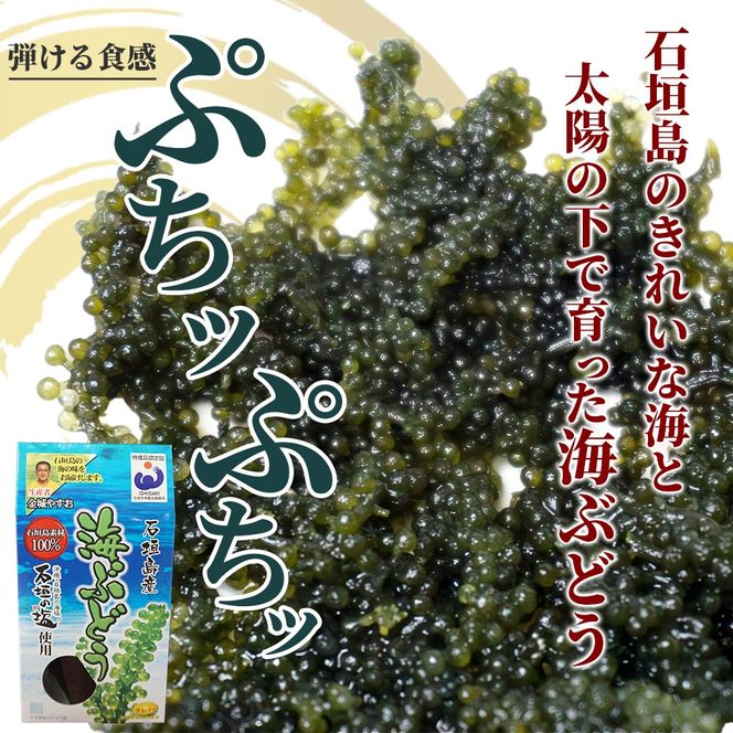 沖縄の海の恵み 海ぶどう＆アーサ CK-09