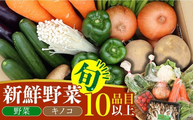  新鮮野菜・キノコ 10品目以上詰め合わせ / 野菜 やさい きのこ キノコ 詰め合わせ セット 野菜セット きのこセット / 吉岡青果 / 南島原市 [SCZ004]