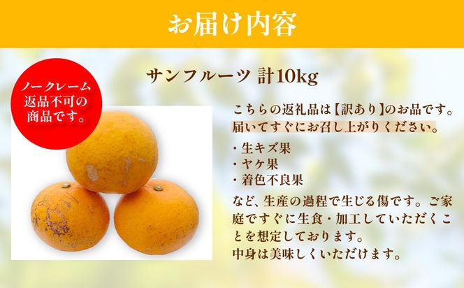 【先行予約】【訳あり】浅野農園のサンフルーツ 計10kg ※離島への配送不可（2027年3月中旬頃より順次発送予定）IKTAC011