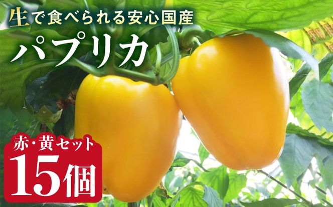 糸島産 肉厚 パプリカ 15個 福岡県 糸島市 / シーブ [AHC032] 野菜 やさい パプリカ ピーマン 肉厚 生 ピクルス マリネ 肉詰め