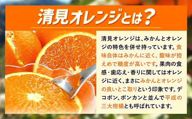 【ご家庭用訳アリ】 紀州有田産清見オレンジ 約5kg 約7.5kg 株式会社魚鶴商店《2026年3月下旬-4月中旬頃出荷》 和歌山県 日高川町 オレンジ 柑橘 ご家庭用 フルーツ---wshg_uot131_3g4c_25_11000_5kg---