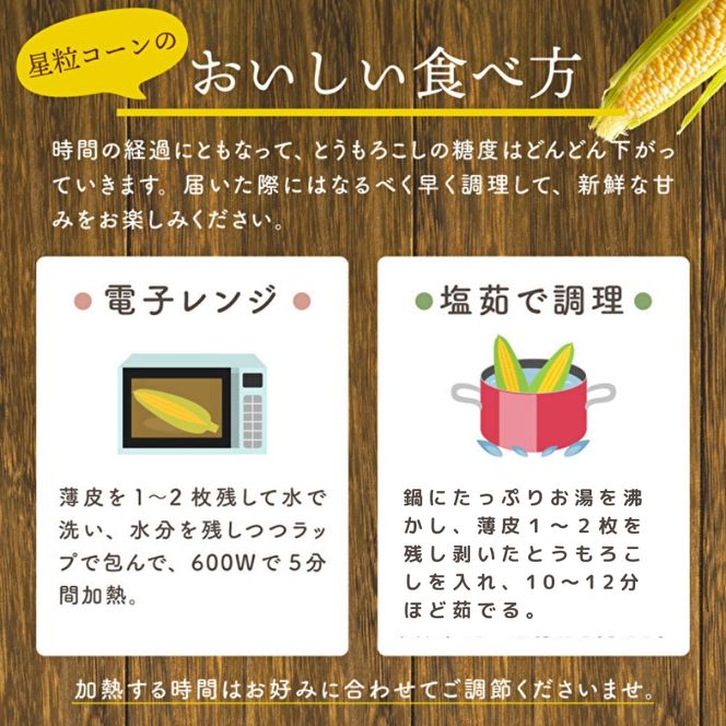 朝どり とうもろこし 15本（6kg前後）よしよし畑 農家直送