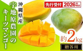 【贈答用】【先行受付・2026年発送】宇地原農園の沖縄県産キーツマンゴー約2kg - 先行予約 沖縄県産 産地直送 南国フルーツ 旬の味覚 季節の果物 希少種 化粧箱 ギフト 贈り物 沖縄県 八重瀬町