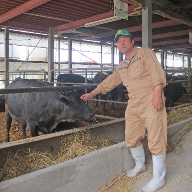 ［農林水産大臣賞受賞］備中牛 和牛ミンチ 500g 岡山県産 黒毛 和牛 肉 お肉 牛肉 牛