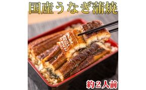 大型サイズ　 ふっくら柔らか国産うなぎ蒲焼き　約２人前　化粧箱入◆
