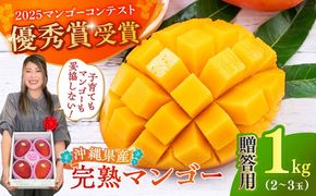 【優秀賞受賞】沖縄県産 完熟マンゴー 贈答用 1kg (2〜3玉) マンゴー 沖縄 果物 フルーツ ギフト 沖縄市 / MAIFARM[BCAN001]