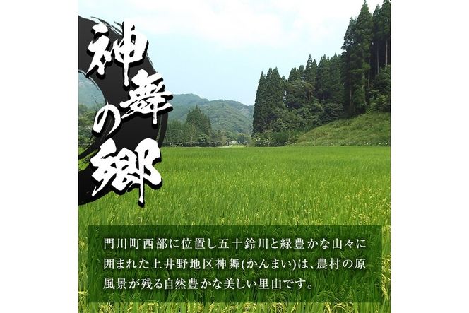 ＜先行予約受付中！2026年10月下旬以降順次発送予定＞＜期間限定・数量限定＞令和8年産 新米 宮崎県門川町産ヒノヒカリ(計10kg・5kg×2袋)お米 精米 白米 ごはん ご飯 ひのひかり 皇室献上米【KM-1】【神舞農園】