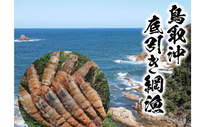 鳥取県産 生食用もさ海老 山田屋 312011_BH002