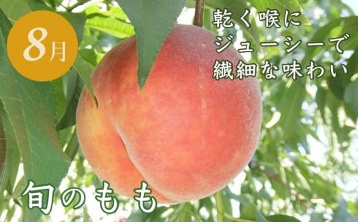 ［年6回定期便］ 小布施町の人気フルーツ定期便6カ月コース ［小布施屋］ 定期便 頒布会 フルーツ 果物 令和7年産 【2025年7月～12月発送】 ［J-3］