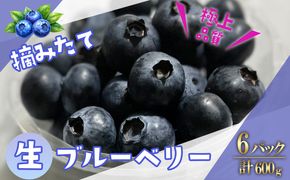 【先行予約】極上摘みたてブルーベリー　100g×6パック【期間限定】