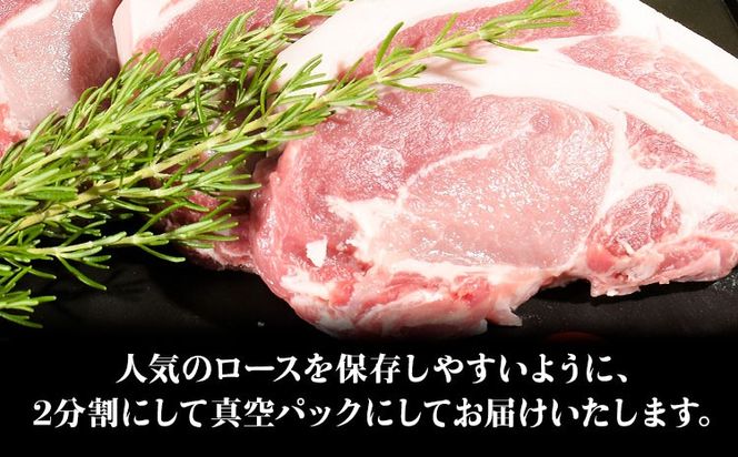 う～んまいから！くっちみ～ 茨城県産 豚ロース 約3.8kg ～ 5kg 前後 ブロック ２分割でお届け 協同農産 《90日以内に出荷予定(土日祝除く)》 肉 豚肉 ポーク 国産 ローストポークロースハム 角煮 茨城県 結城市【配送不可地域あり】(北海道・沖縄・離島)---yuki_kyod_1_5kg---