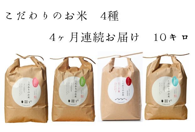 【4カ月連続でお届け】北本農場 「こだわりのお米」 令和7年度産　精米 10kg 