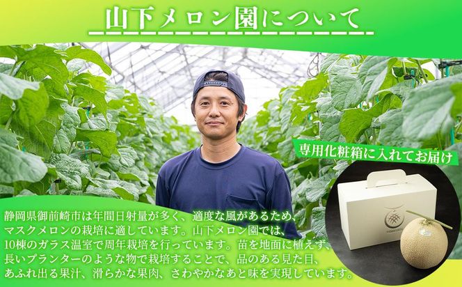 静岡温室メロン Ｌ玉1.6kg～1.7kg ×２玉　最高級のマスクメロン　山下メロン園　高級果実店に仕入るほどの自信のあるメロン  ギフト  メロン めろん 箱詰め フルーツ 果物  産地直送 甘いメロン 糖度 青肉 222232_AY004