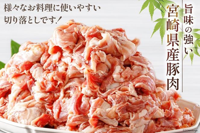 豚肉 小分け 切り落とし 300g×18袋 合計5.4kg [甲斐精肉店 宮崎県 美郷町 31as0047] 冷凍 宮崎県産 豚肉 送料無料 ウデ 腕 切落し 炒め物 料理 調理 おかず 大容量 真空包装 収納スペース 豚丼 生姜焼き 豚汁 BBQ バーベキュー キャンプ 焼肉