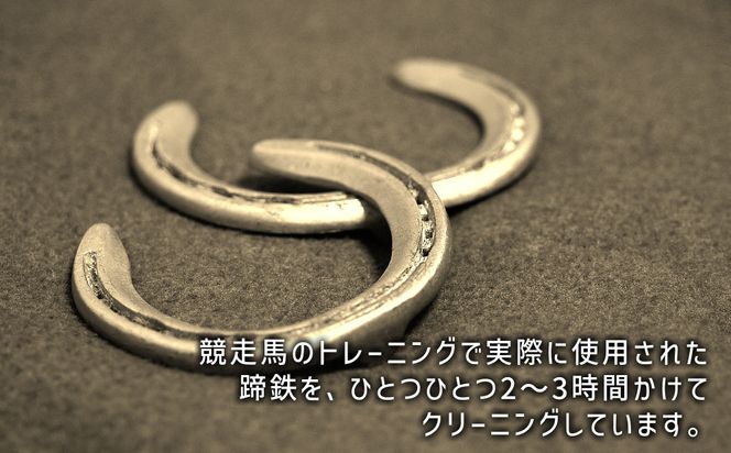 馬 蹄鉄 フラワーアート 約 17cm サラブレット 競走馬 蹄鉄 馬蹄 フラワーアート 飾り フラワー アート