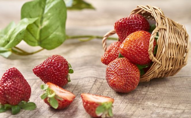 いちご あまおう 贈答用 12～15粒 福岡のいちご 苺 本来の酸味と甘み！ 配送不可 離島 果物類 イチゴ 