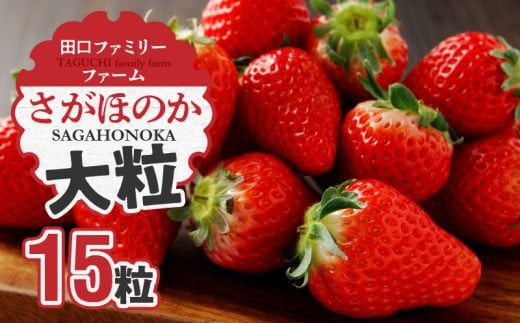 【田口ファミリーファーム】大粒完熟いちご(さがほのか)15粒(1月中旬発送開始) N053-YA2261