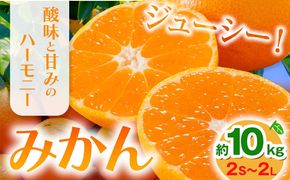 みかん 約10kg (2S-2Lサイズ) 金峰柑橘組合株式会社 ミカン 柑橘 フルーツ 旬 熊本県 玉名郡 玉東町 《10月中旬-1月中旬頃出荷》贈り物 果物 くだもの---gkt_knp_6_10k---