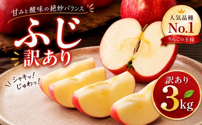 りんご 訳あり 3kg 果物 フルーツ わけあり 不揃い 規格外 ご家庭用 宮城県 大河原町 産地直送 林檎 リンゴ くだもの 先行予約 送料無料