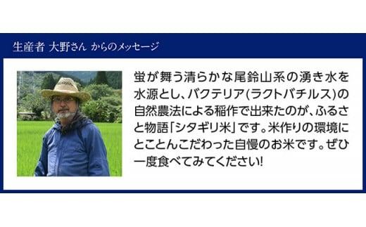 【３ヶ月定期便】※毎月20日頃発送※【令和6年産】宮崎県産こしひかり「シタギリ」5kg【 お米 新米 2024年産 定期便 全3回 】 [D04201t3]