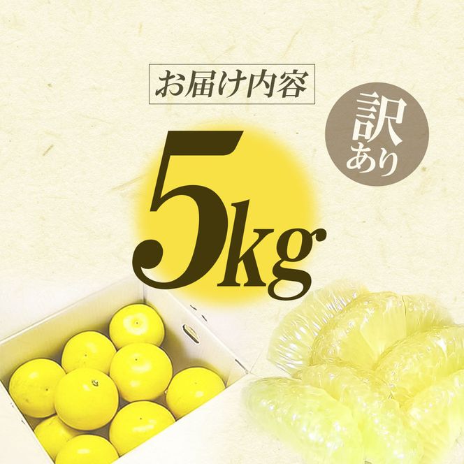 【先行予約】“高知県産”ワケあり土佐文旦（※シミ・キズあり）5kg・サイズおまかせ