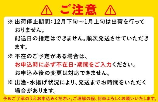 白えび刺身100g×2個