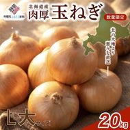 【新規】玉ねぎ L大サイズ 20kg