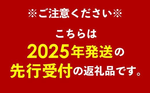 【化粧箱入】【先行受付・2025年発送】とうはらマンゴー園の美味しいマンゴー秀品（特上）約2kg