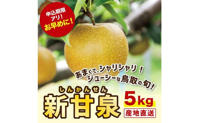 新甘泉 5キロ【安田農園】 312011_CG003