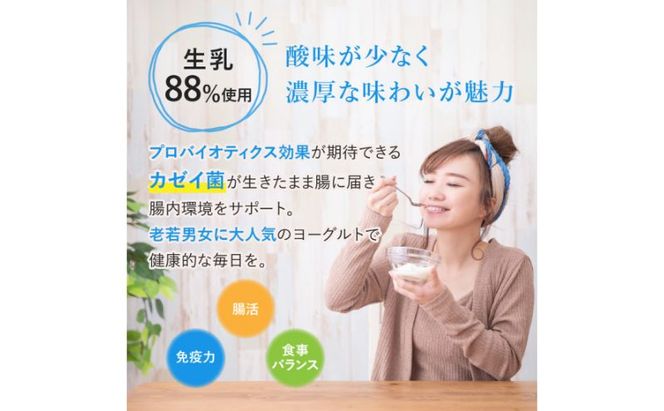 ヨーグルト もっちり、とろ～りの2つに食感！　球磨の恵みヨーグルト ( 加糖タイプ ) 3kg 【配送不可：沖縄県、離島】