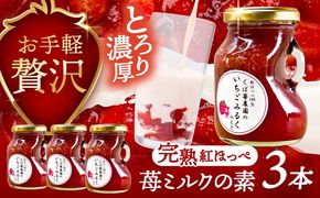 いちごミルクの素 3本セット 果物 フルーツ 紅ほっぺ 愛西市 / くぼ苺農園 【配達不可：離島】[AECJ024]