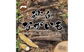 1114.砂丘ながいも3kg 313726_CL003